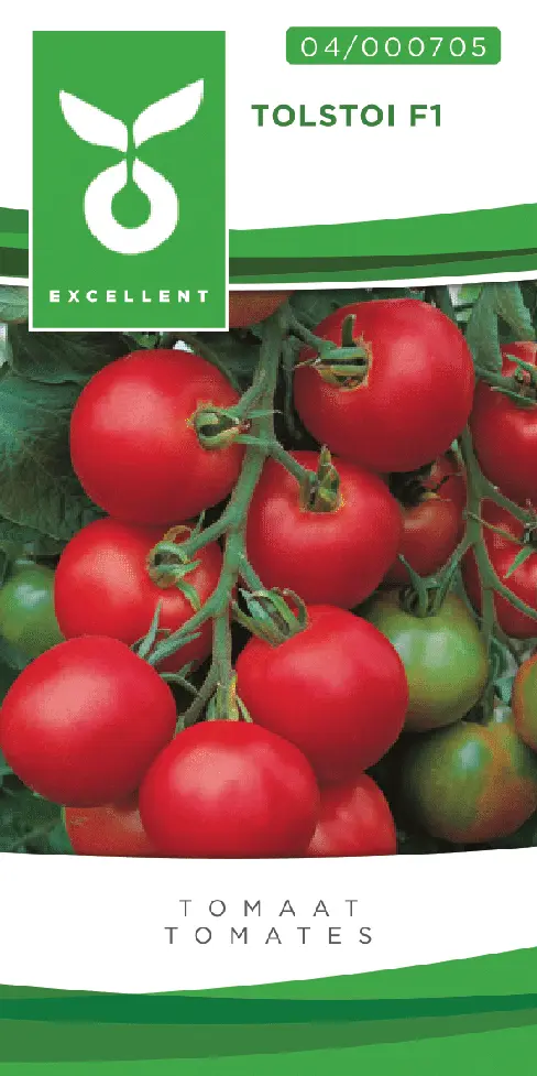 Tomates TOLSTOI F1 - ca 50 s