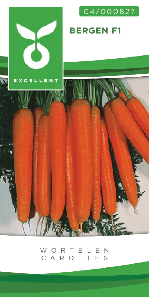 Carottes BERGEN F1 - ca 1000 s