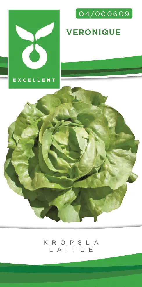 Laitue pommée SOTALIS - ca 50 s