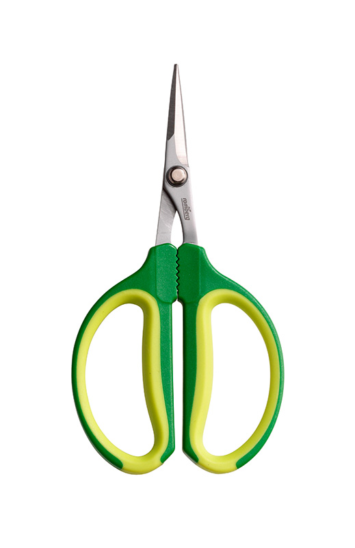 Secateur pour le ciselage des raisins - 15 cm