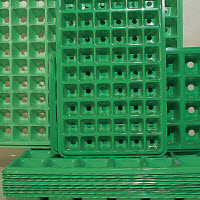 Kweekplaat 50 x 32 cm - 54 potjes