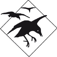 Vogelnetten ORTOFLEX - 2 x 10 m