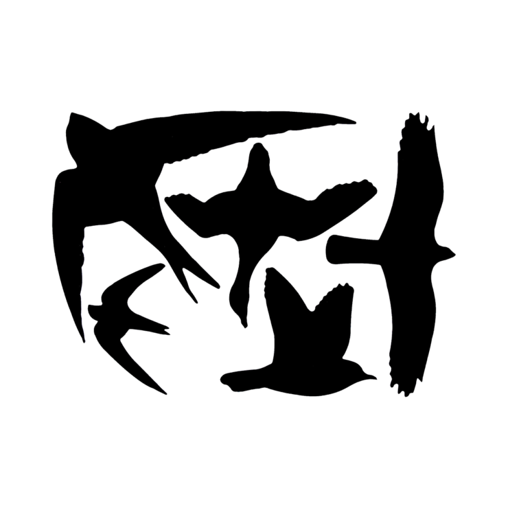 Raamstickers vogels - 5 stickers