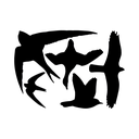 Silhouettes anti-collision oiseaux - 5 pc