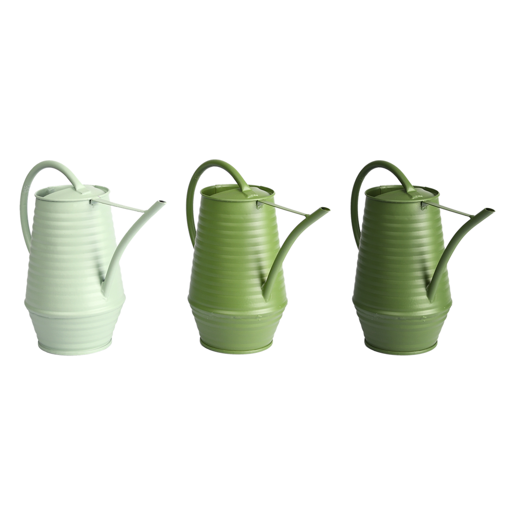 Arrosoirs ARROSOIR D'INTERIEUR