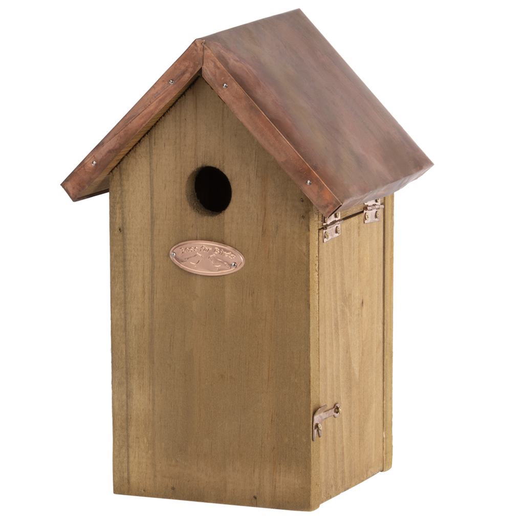 Nichoire pour mésange bleue