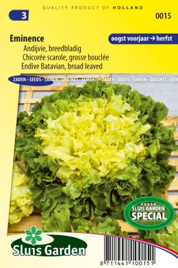 Chicorée scarole pour toute l'année EMINENCE - ca 350 graines