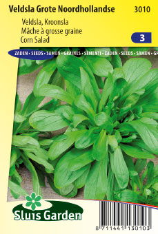 Veldsla GROTE NOORDHOLLANDSE - ca 30 g