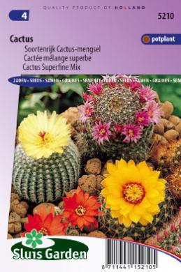 MELANGE DE CACTUS - ca 50 s