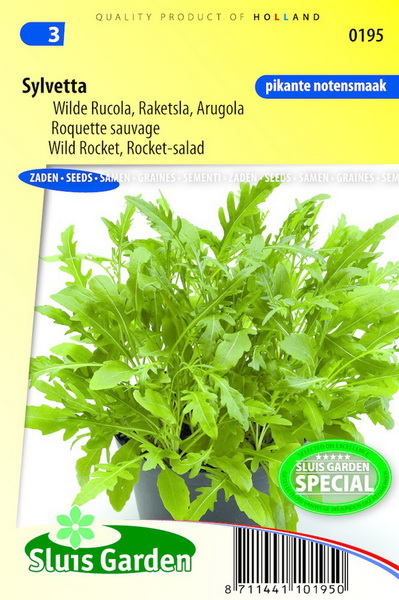 Raketsla (rucola) SYLVETTA - ca 8000 z