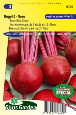 Betteraves rouges DETROIT 2 NERO - ca 6 gr