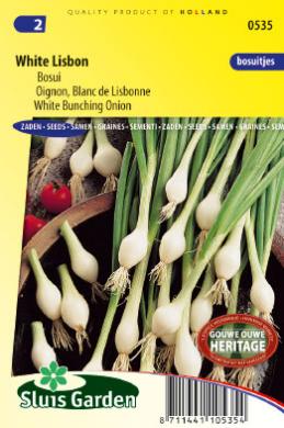 Oignon en touffe WHITE LISBON - ca 550z