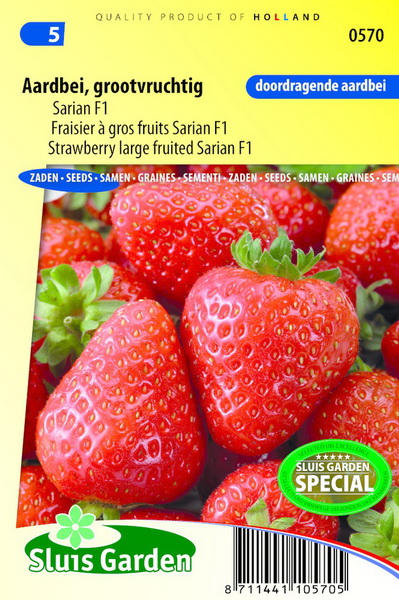 Aardbeien GRANDIAN F1 - ca 22 z