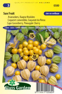 Physalis edulis of ananaskers SUN FRUIT - ca 400 z