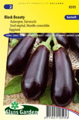 Aubergine BLACK BEAUTY - ca. 135s