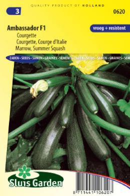 Groene courgette AMBASSADOR F1 - ca 10 z
