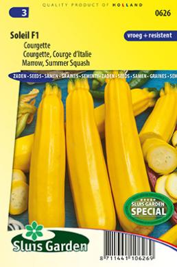 Courgette jaune SOLEIL F1 - ca 10 s