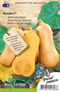 Butternutpompoen HERCULES F1 - ca 15 z