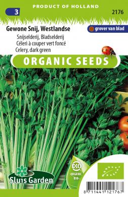 Celeri à couper COMMUN - ca 1250 s