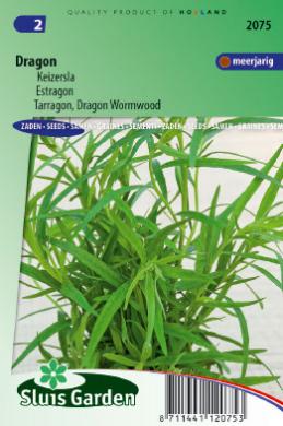 ESTRAGON RUSSE - ca 825 s
