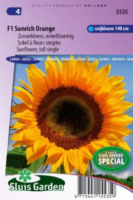 Helianthus annuus SUNRICH ORANGE F1 - ca 16 s