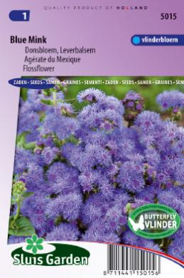 Ageratum houstonianum BLUE MINK - ca 650 s