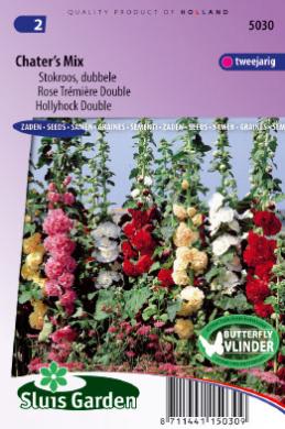 Althea rosea of stokroos CHATER'S MIX - ca 65 z