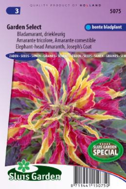 Amaranthus gangeticus GARDEN SELECT - ca 175 z