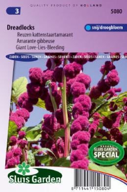 Amaranthus caudatus gibbosus DREADLOCKS - ca 225 z