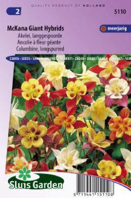 Ancolie à fleur géante MCKANA GIANT HYBRIDS - ca 160 s