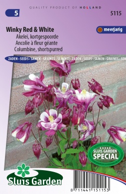 Aquilegia hybrida WINKY RED & WHITE - ca 20 s