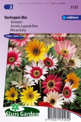 Arctotis acaulis HARLEQUIN mix - ca 45 s
