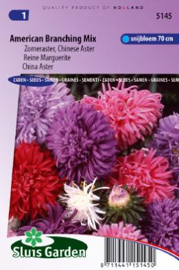 Aster chinensis of zomeraster AMERICAN BRANCHING mix - 270 z