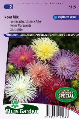 Aster of straalaster NOVA mix - ca 225 z