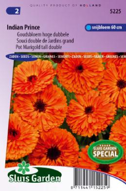Calendula of goudsbloem INDIAN PRINCE - ca 75 z