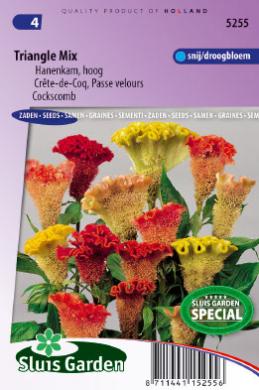 Celosia cristata TRIANGLE mix - ca 120 s