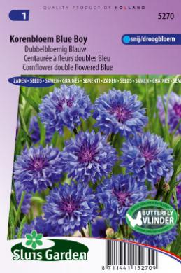 Centaurea cyanus of korenbloem BLUE BOY - ca 220 z