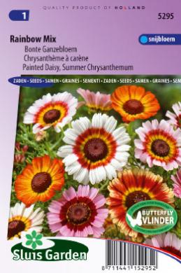 Chrysanthemum carinatum of margriet RAINBOW MIX - ca 250 z