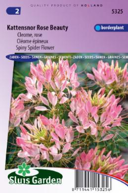 Cleome spinosa of kattensnor Rose Beauty - ca 180 z
