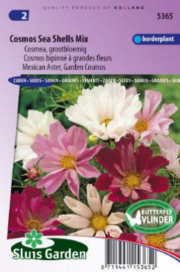 Cosmos SEA SHELLS mix - ca 90 z