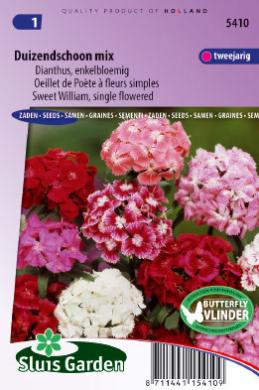 Dianthus barbatus of duizendschoon ENKELBLOEMIG GEMENGD - ca 570 z