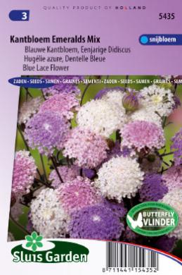 Didiscus caeruleus of kantbloem EMERALDS mix - ca 80 z