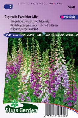 Digitalis purpurea of vingerhoedskruid EXCELSIOR mix - ca 1950 z