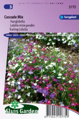 Lobelia erinus pendula CASCADE mix - ca 7500 s