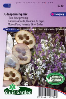 Lunaria biennis annua of judaspenning GEMENGD - ca 65 z