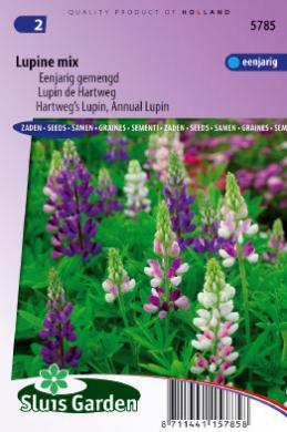 Lupinus HARTWEGII - ca 90 s