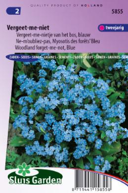 Myosotis sylvatica VERGEET ME NIET - ca 595 z