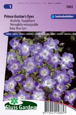 Nemophila menziesii PRINCE GUSTAV'S EYES - ca 350 z