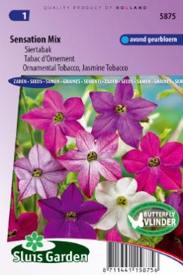 Nicotiana alata of siertabak SENSATION mix - ca 950 z