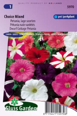 Petunia hybrida nana compacta GEMENGD LAAG - ca 1500 z